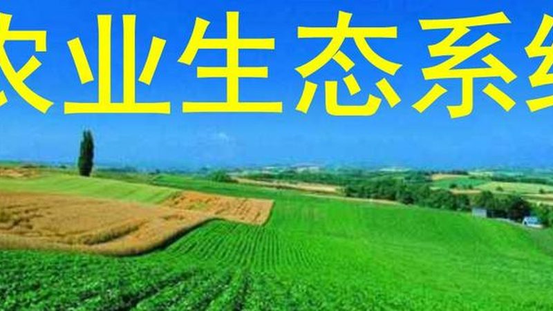 生鲜配送过程中，损耗是困扰许多企业的一大难题。究其原因，主要有以下几个方面：
