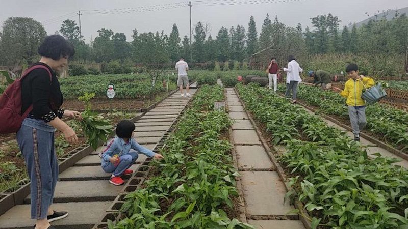 绿色食品加盟厂家直招