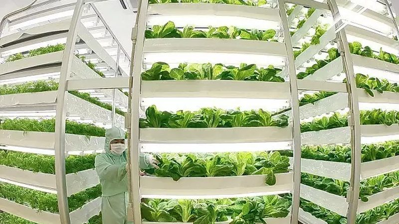 农业种植技术标准教程网站：构建高效种植新平台**