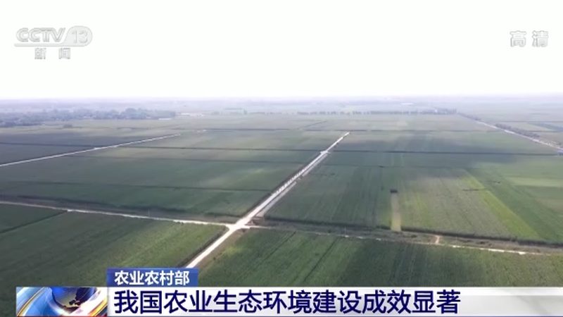 在选择休闲农业公司时，首先要明确排名的标准。以下是一些常见的排名标准：