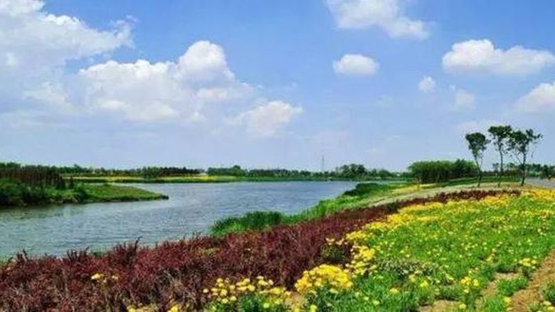 大豆种子选不对，产量差距从播种就注定