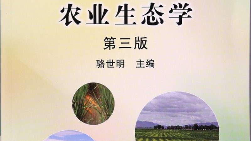 果树种植：关键步骤与注意事项**