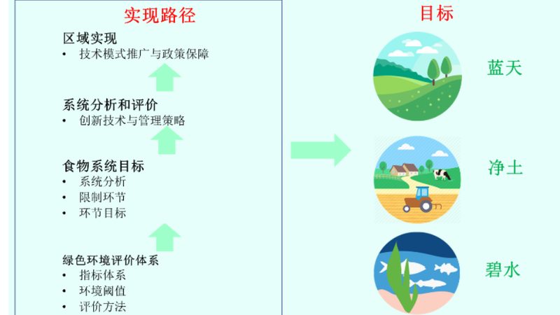 南方水果种植基地：新手创业的沃土选择**