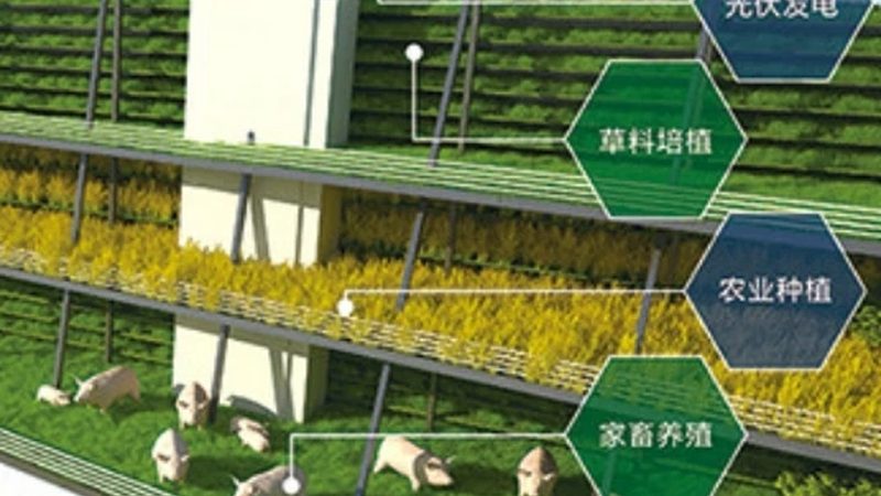 企业食堂配送供应商，这十个名字背后的行业分化