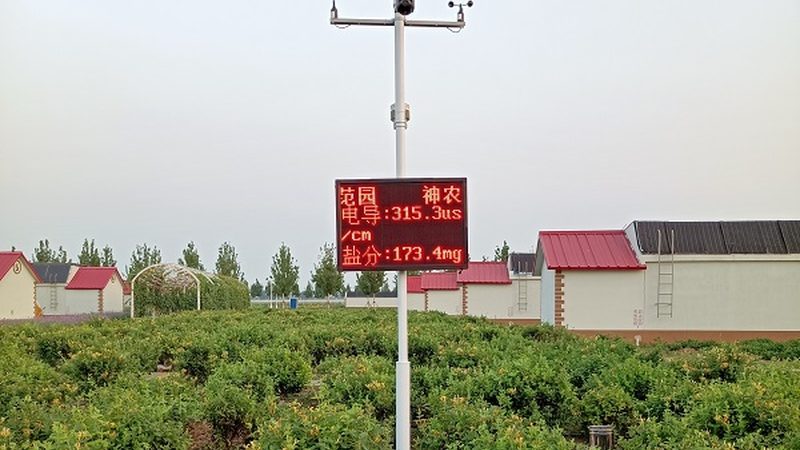 农业项目招标，把握时间节点至关重要**