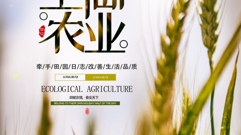 现代农业产业园建设：方案规划与报价解析**